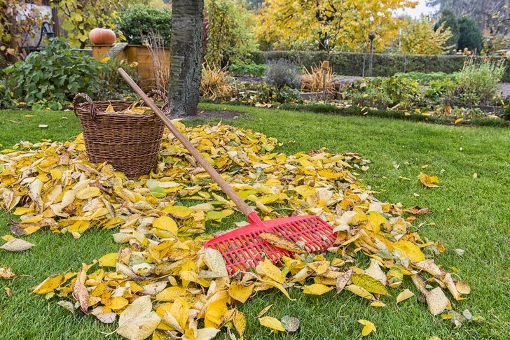 11 maneras de preparar su jardín para el otoño y