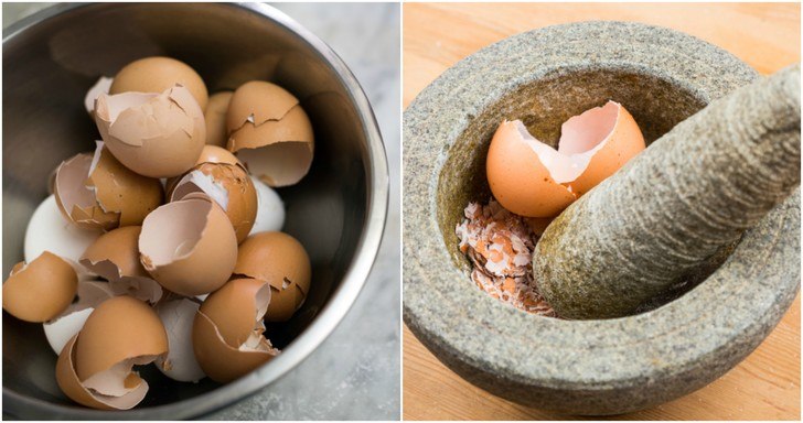 4 razones para comer cáscaras de huevo, cómo hacerlo y
