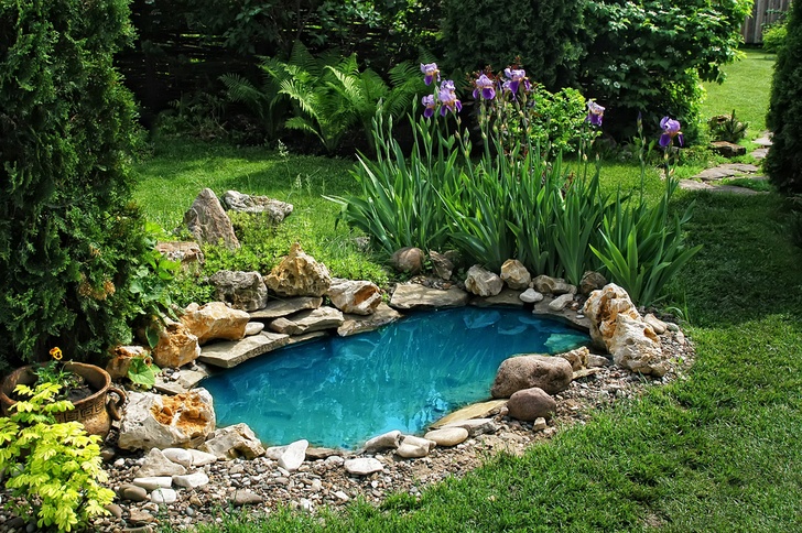 Cómo crear su propio jardín acuático próspero en el patio