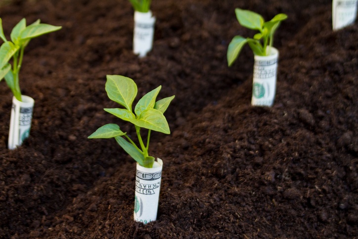 17 trucos únicos para ahorrar dinero que todo jardinero debe