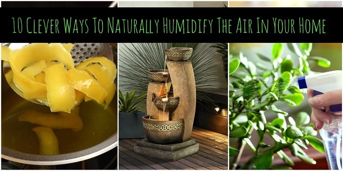 10 formas inteligentes de humidificar naturalmente el aire de tu
