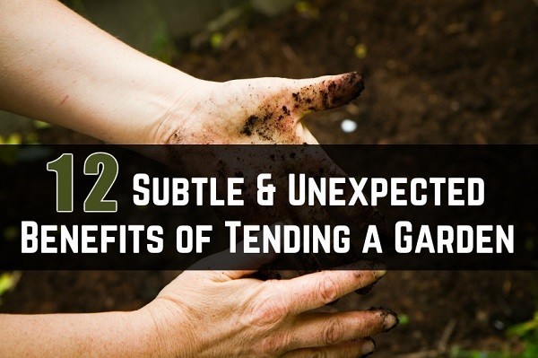 12 beneficios sutiles e inesperados de cuidar un jardín