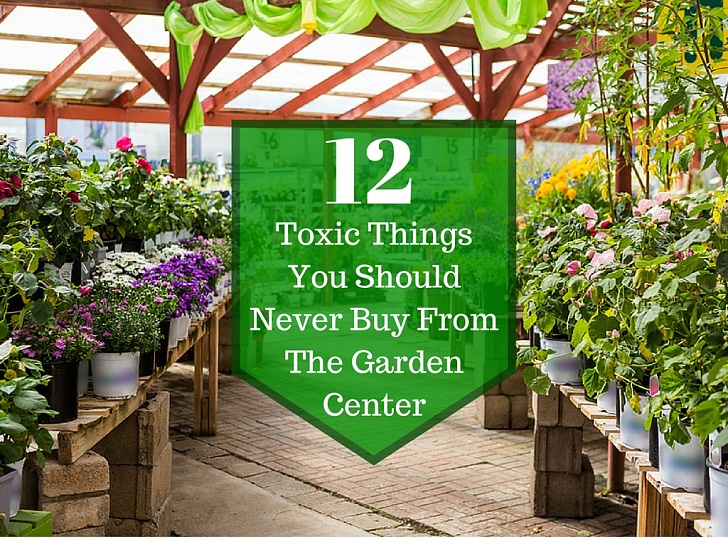12 cosas tóxicas que nunca debes comprar en The Garden
