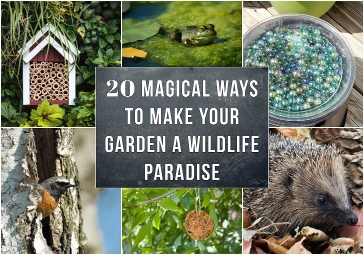 20 formas mágicas de hacer de tu jardín un paraíso