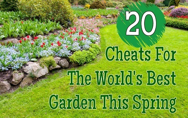 20 trucos para tener el mejor jardín del mundo esta