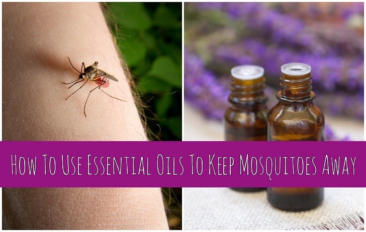Cómo usar aceites esenciales para mantener alejados a los mosquitos