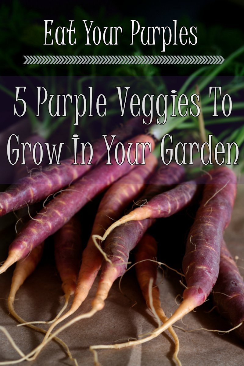Eat Your Purples – 5 vegetales morados para cultivar en