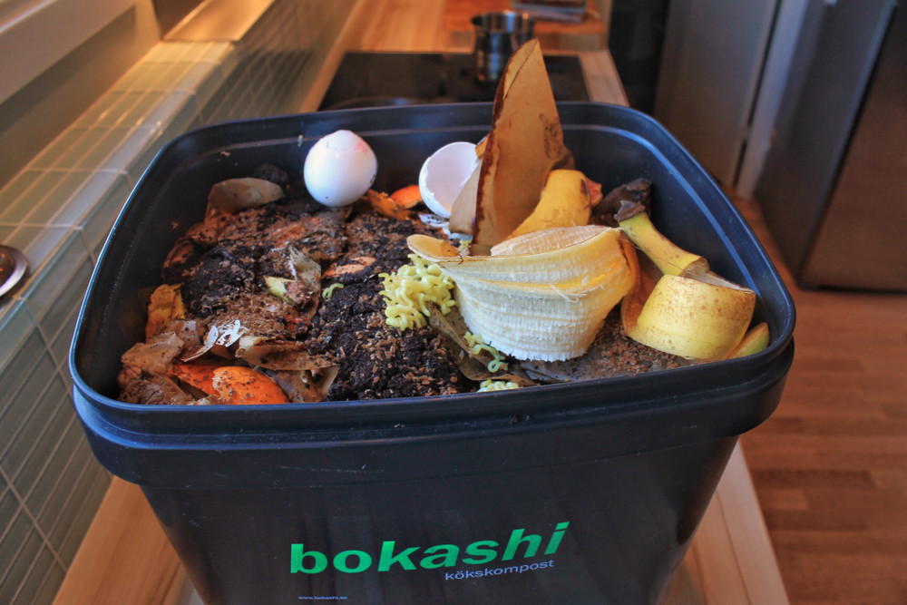 9 razones para comenzar a hacer compost con un balde