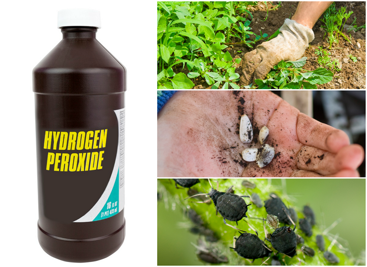 10 maneras sorprendentes de usar peróxido de hidrógeno en el