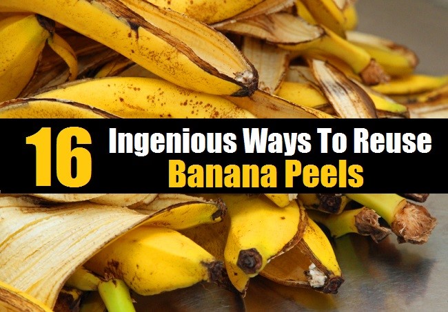 16 formas ingeniosas de reutilizar las cáscaras de plátano