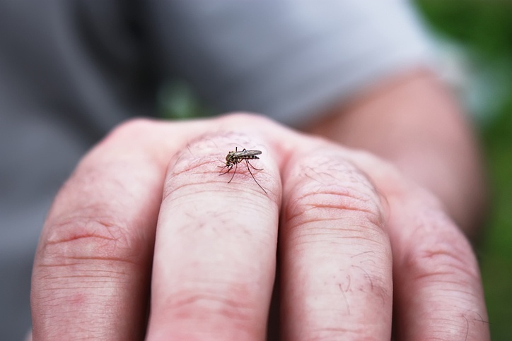 7 cosas que te hacen más atractivo para los mosquitos