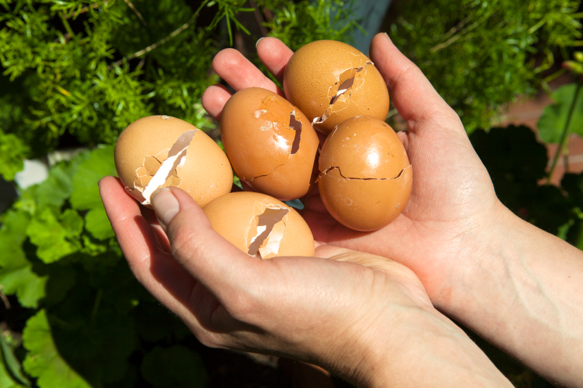 7 usos brillantes para las cáscaras de huevo en su