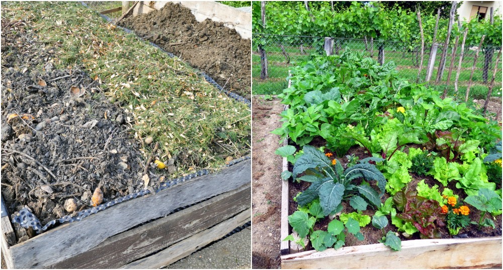 9 razones para probar la horticultura con lasaña y cómo