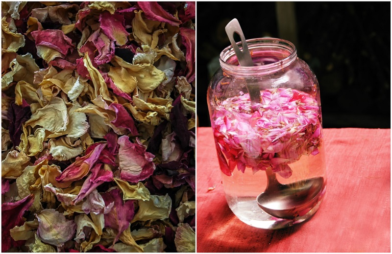 Cómo hacer tu propia agua de rosas y 14 formas