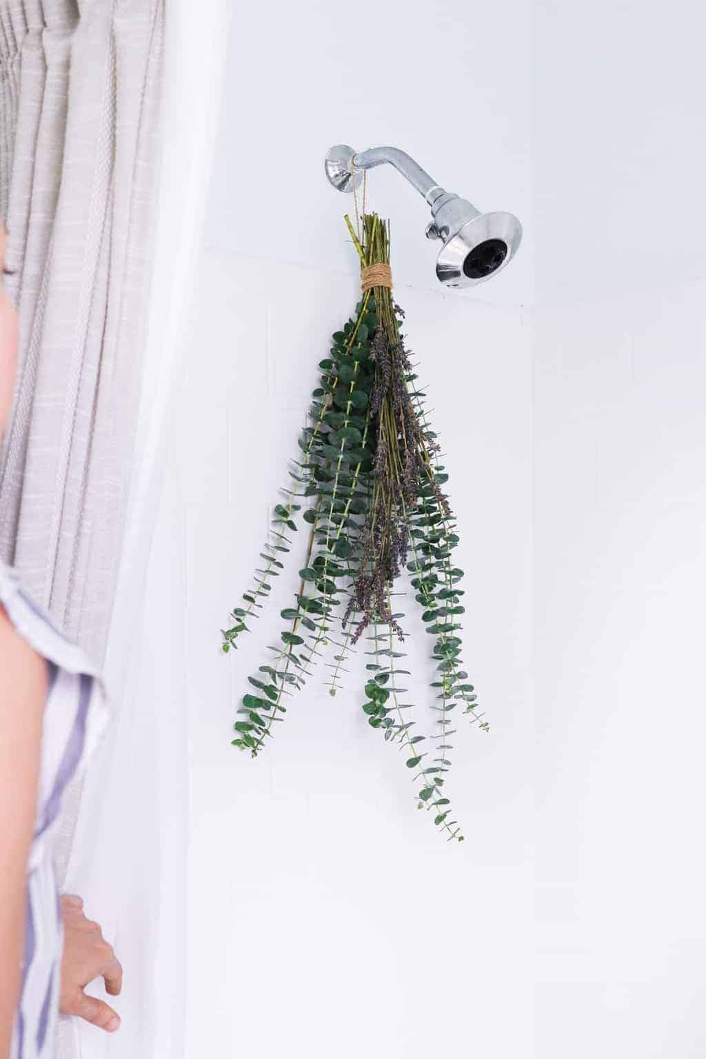 Cómo hacer una ducha de eucalipto para limpiar los senos